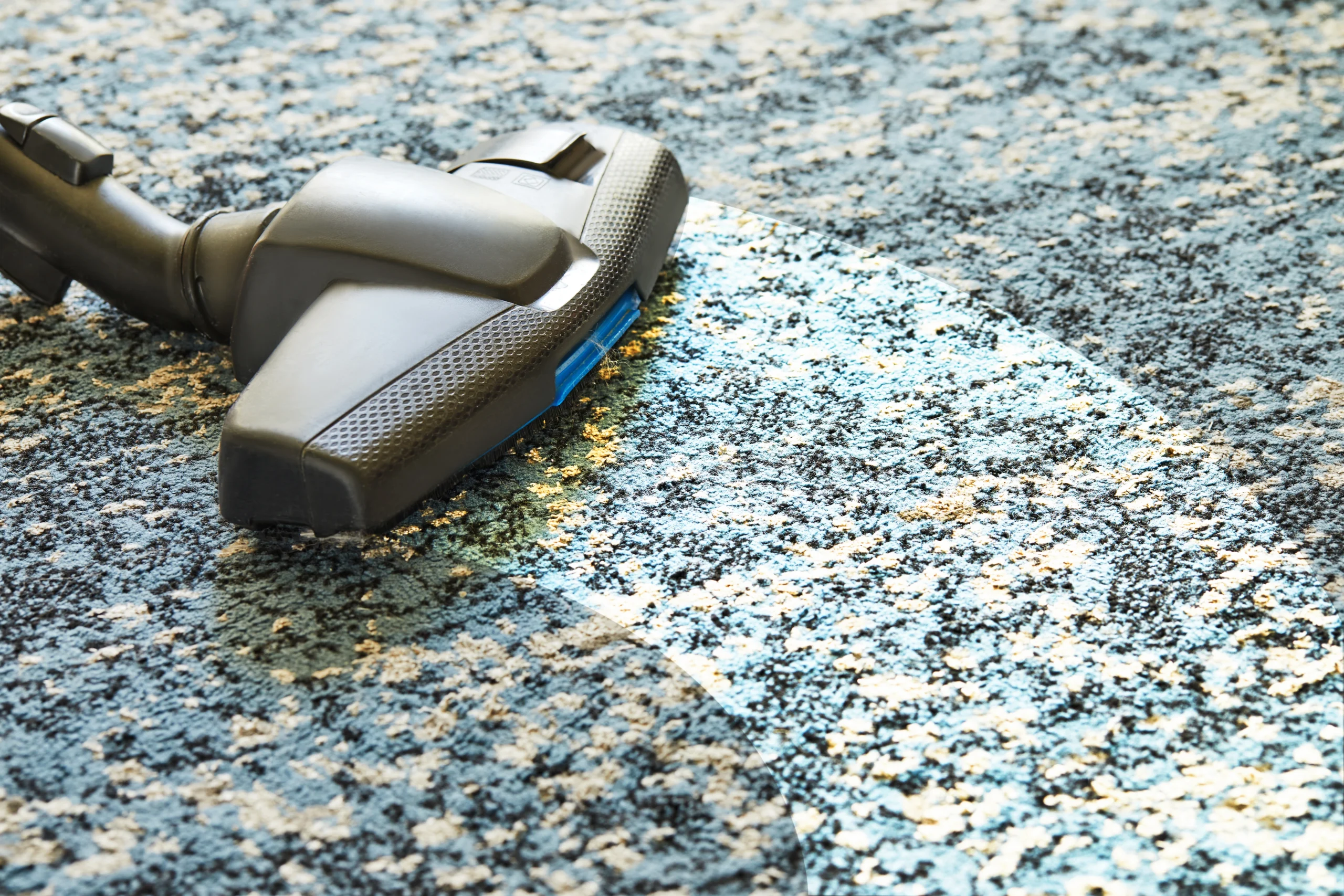 #1 commercial carpet cleaning experts - Express Carpet Cleaning